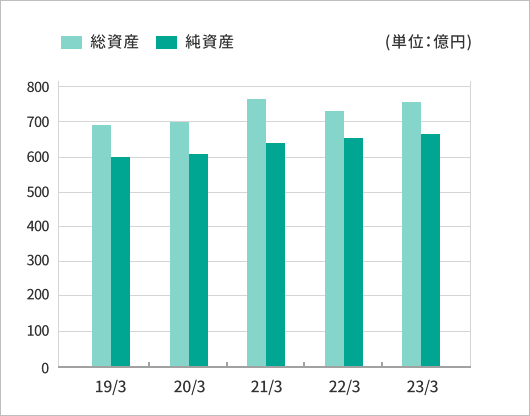 総資産/純資産グラフ