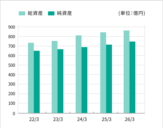 総資産/純資産グラフ